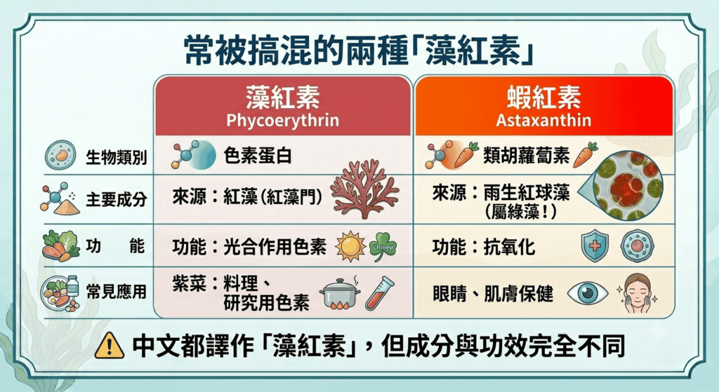 「藻紅素 Phycoerythrin 與蝦紅素 Astaxanthin 差異比較：色素蛋白 vs 類胡蘿蔔素、紅藻來源 vs 雨生紅球藻來源」