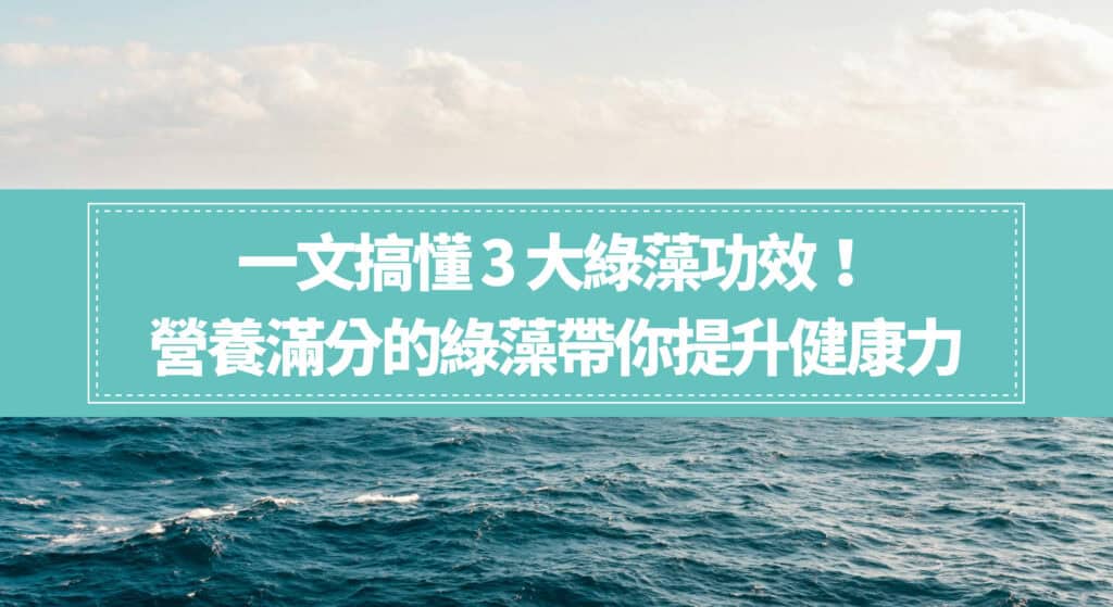 一文搞懂 3 大綠藻功效！營養滿分的綠藻帶你提升健康力