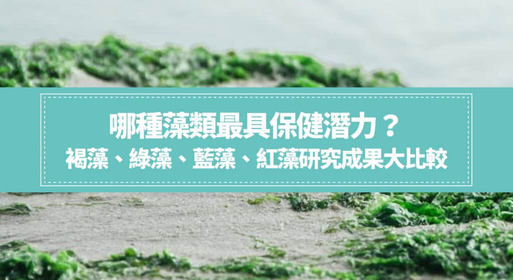 哪種藻類最具保健潛力？褐藻、綠藻、藍藻、紅藻研究成果大比較